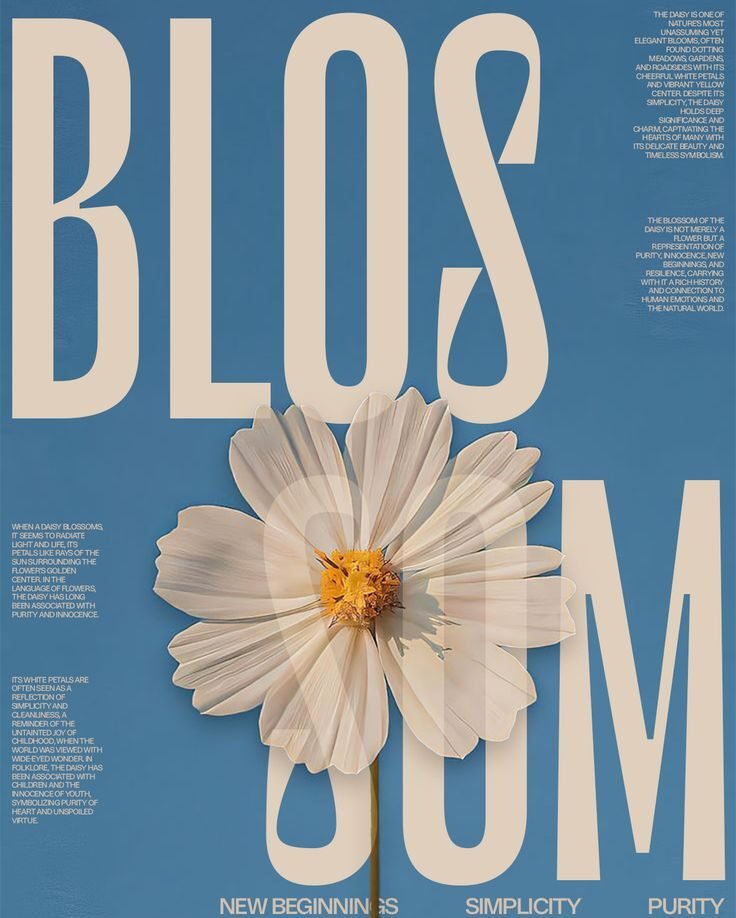 b2fb20cd5286f15c7b4aeade50a948d1